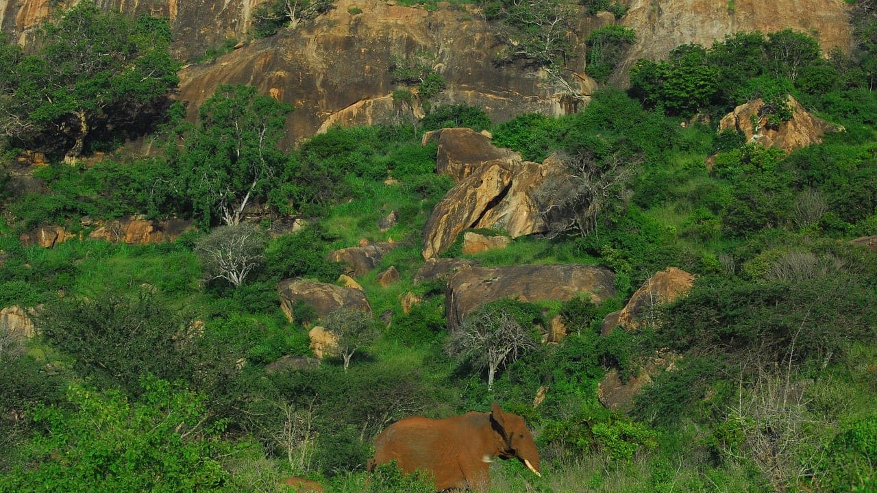 Kenya