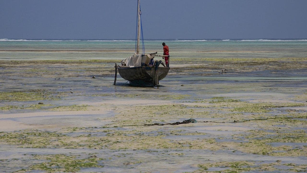 Tanzania