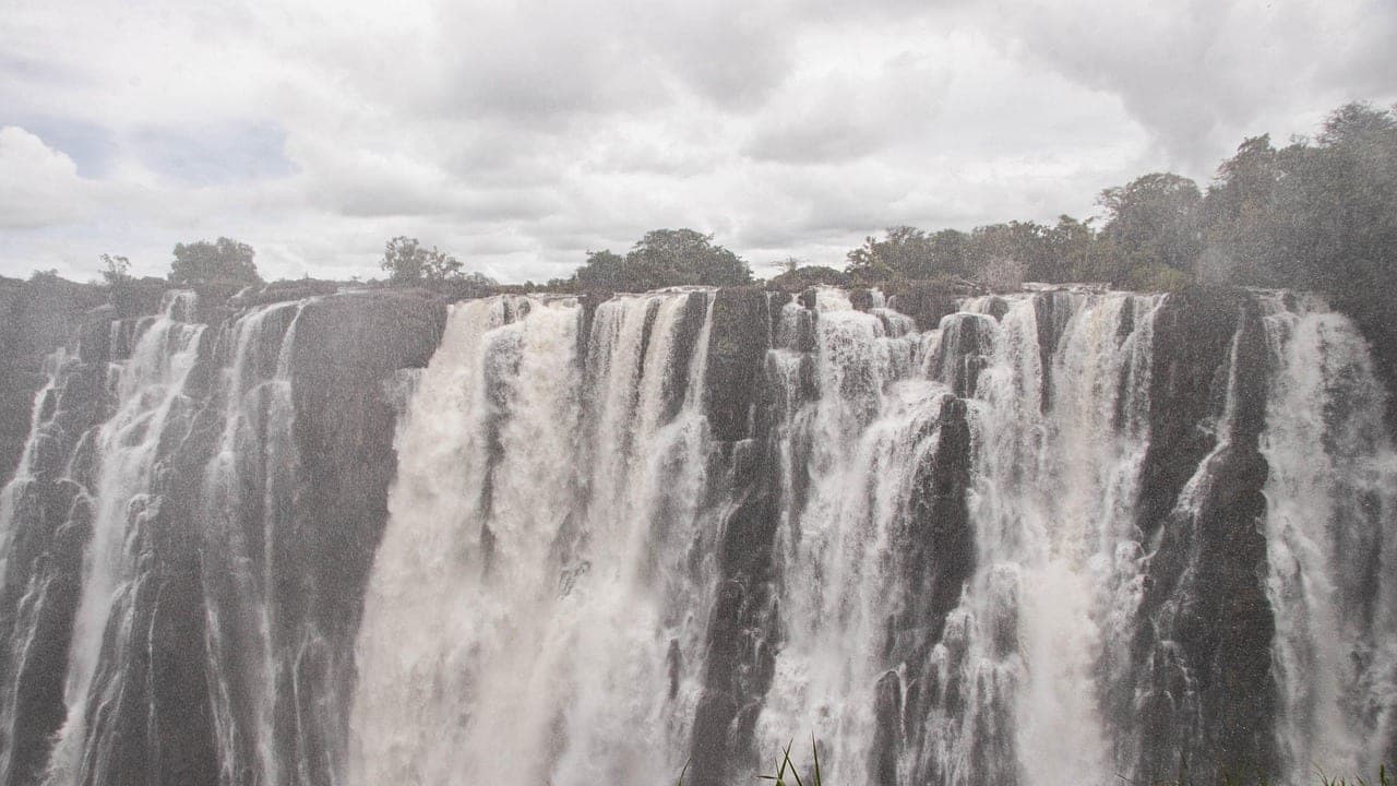 Zambia